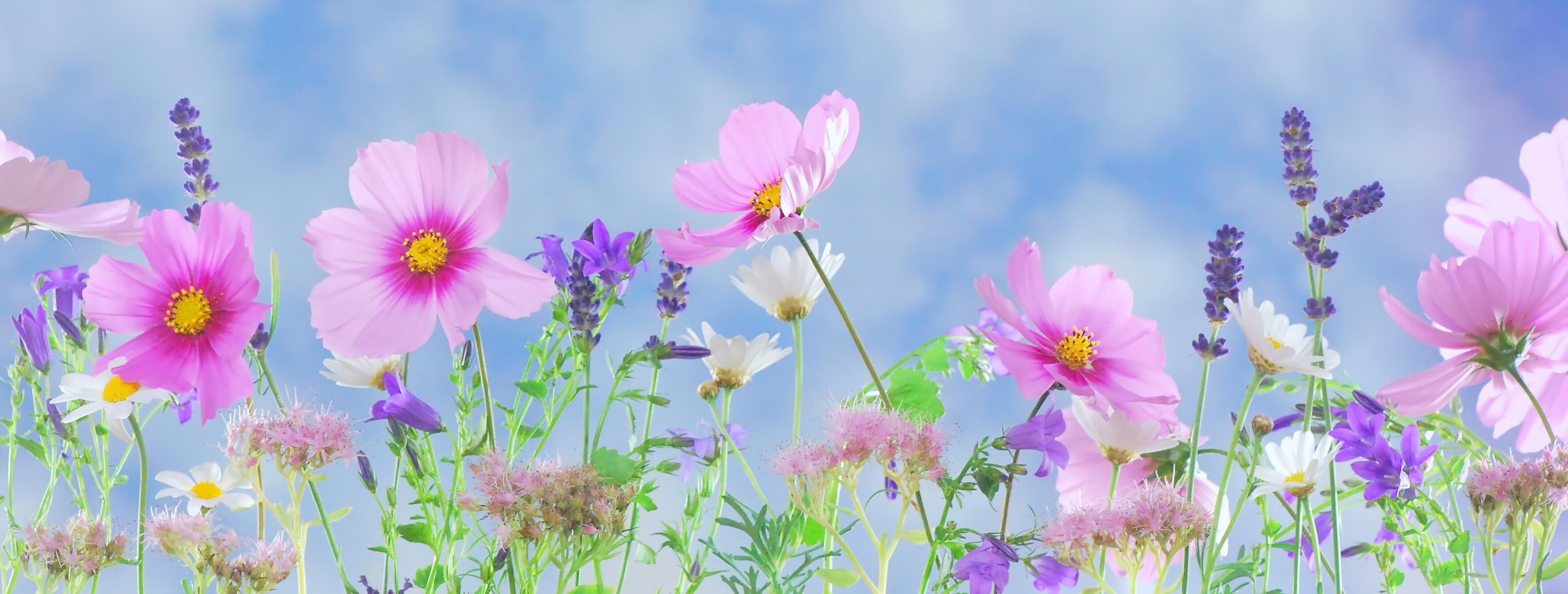 Website Analysis: Spring Cleaning Isn't Just For Your House