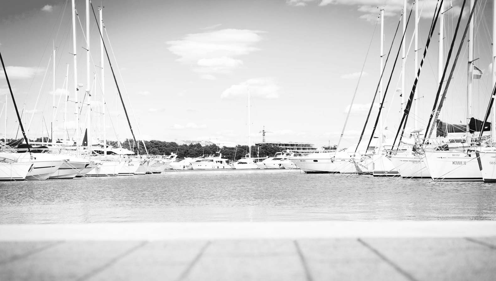 Web Security: Navigating Security Patches