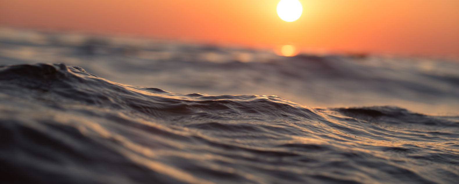 Is B2B eCommerce Worth the Investment?